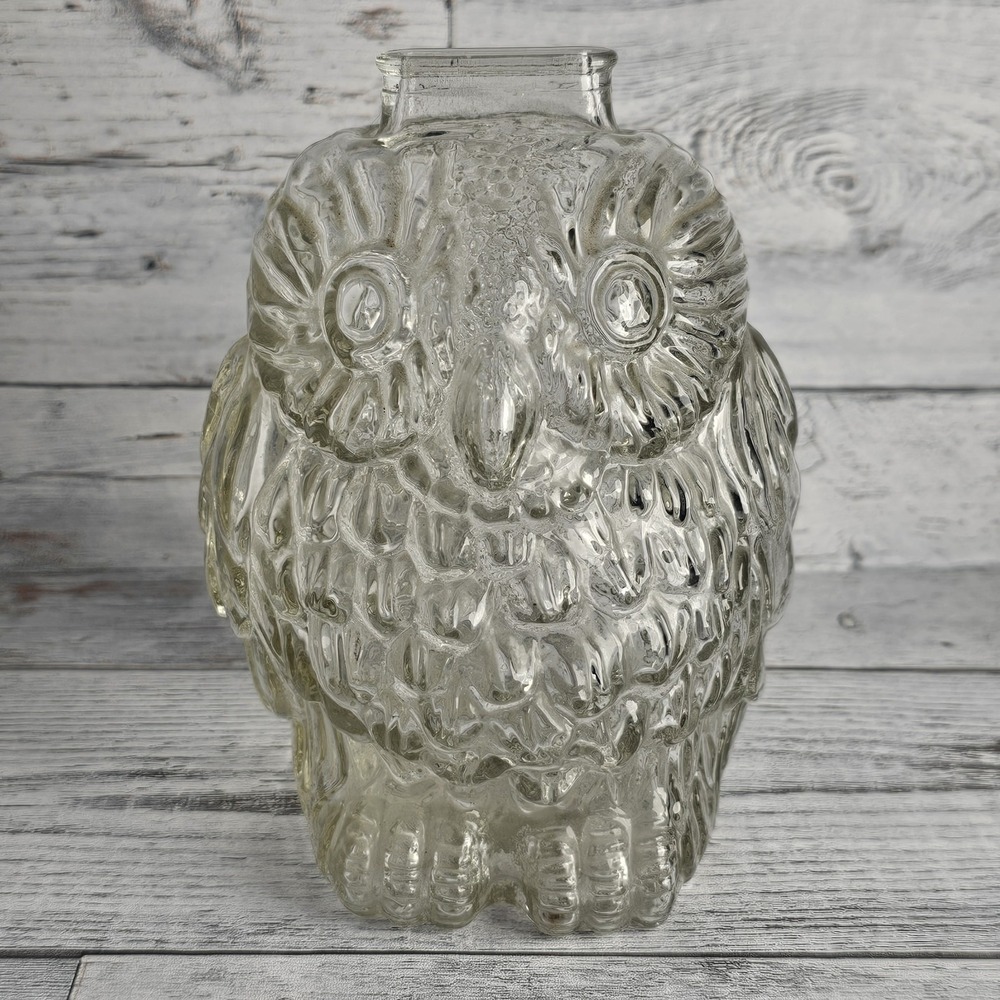 Vintage Wise Old Owl Figural Piggy Bank Clear Glass Mint Fun Novelty Collectible
